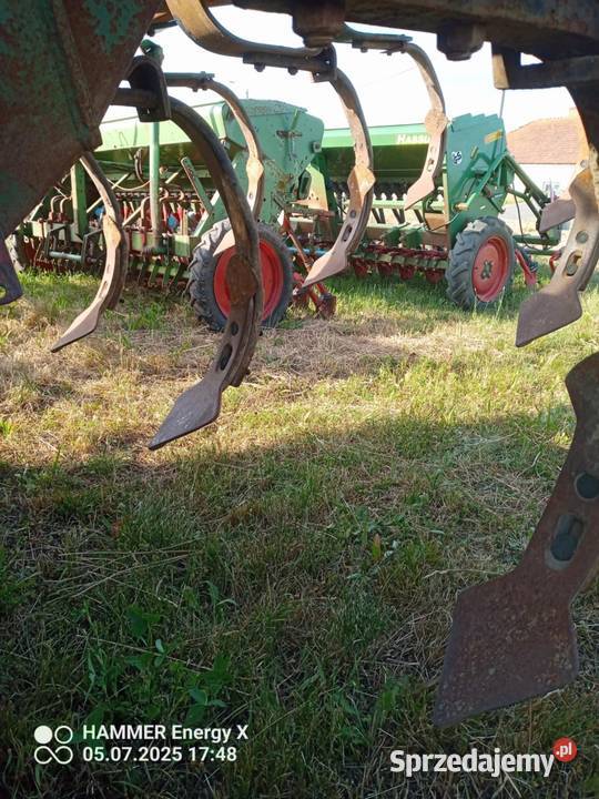 gruber agregat ścierniskowy wielkopolskie Ostrzeszów