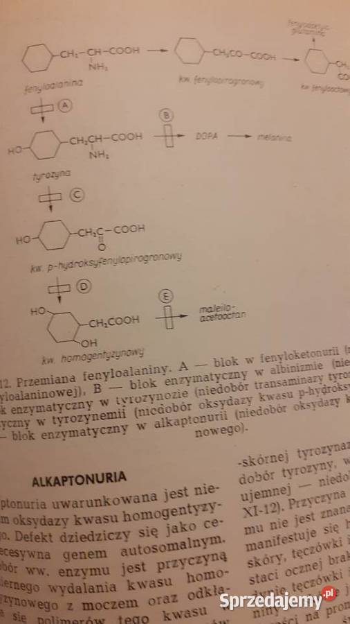 Choroby wewnetrzne Szczecin