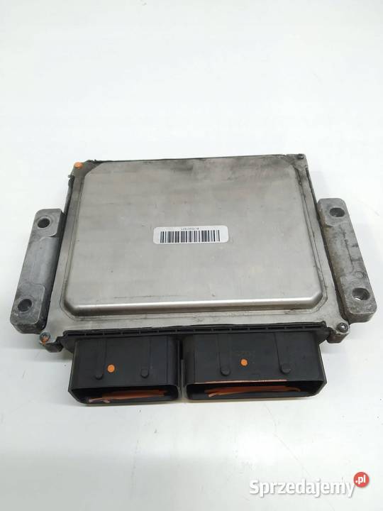 STEROWNIK SILNIKA 9804828580 9810764880 20 HDI sprzedam