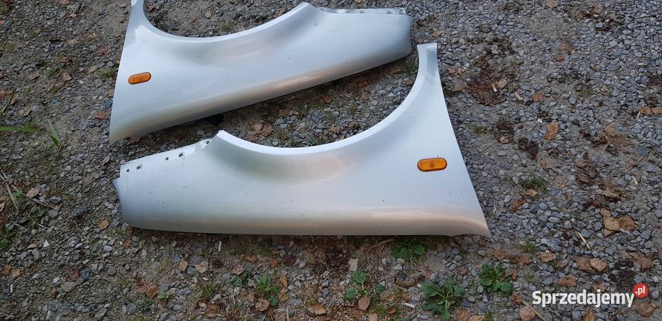 Volkswagen Golf 4 błotniki błotnik Błotniki Kraśnik