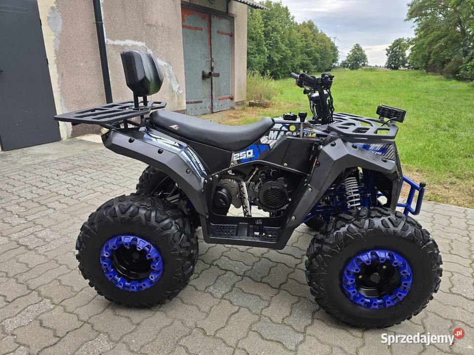 Quad Magnum 250cc Mały Przebieg 2022 Duża rama z Kruszwica sprzedam