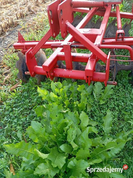 Lemken Opal 120 21 talerzówka Królików