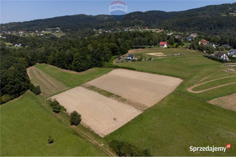 Prywatny las 3331 m2 Twoja przestrzeń w naturze Młynne sprzedam