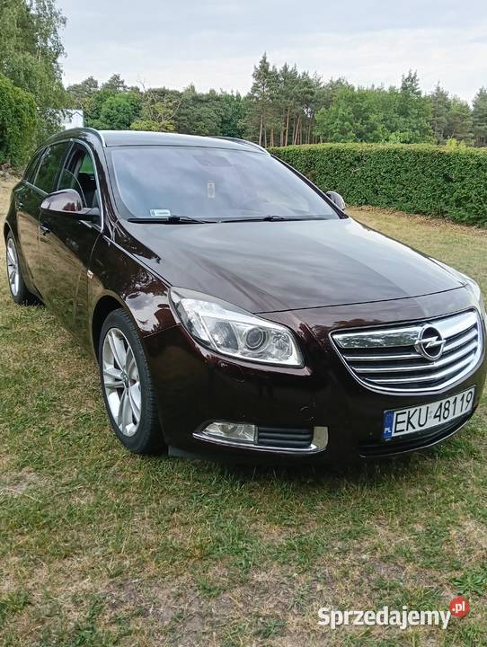 Opel Insignia 20CDTI 160 Salon Polska Chrosno