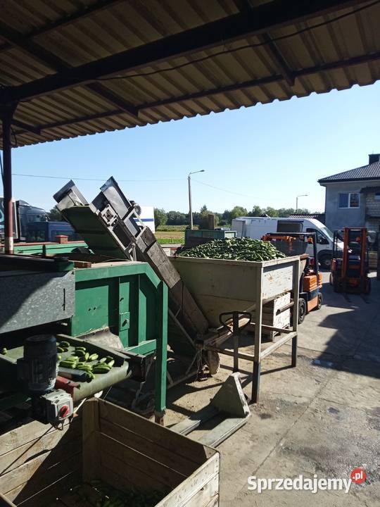 Kalibrownica rolkowa sfamasz Sr 1200 mazowieckie Kozienice