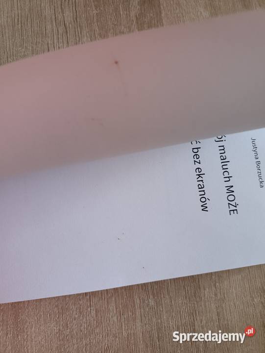 Twój maluch MOŻE żyć bez ekranów Justyna Kwidzyn