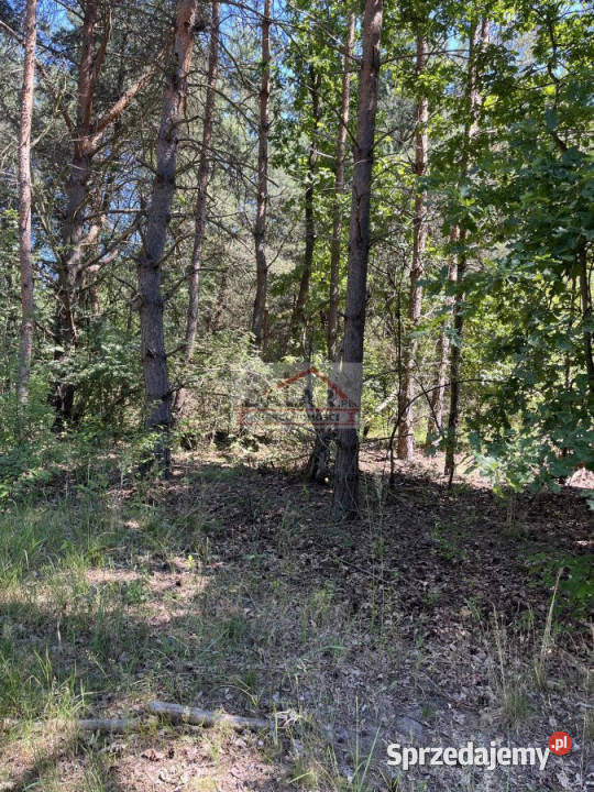 sprzedaży gruntu 1000m2 Nowe Racibory mazowieckie
