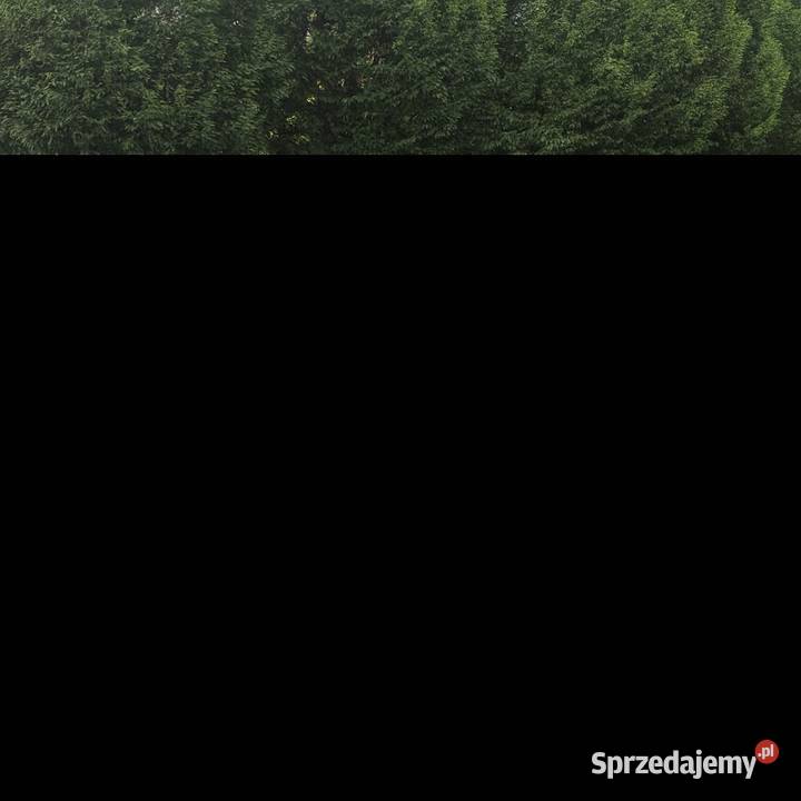 Skoda Octavia kombi zadbana oszczędna długie oc Kombi Sosnowiec