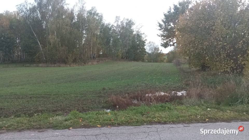 Sprzedam działkę budowlaną z laskiem sosnowym 37zł/m2 Godów