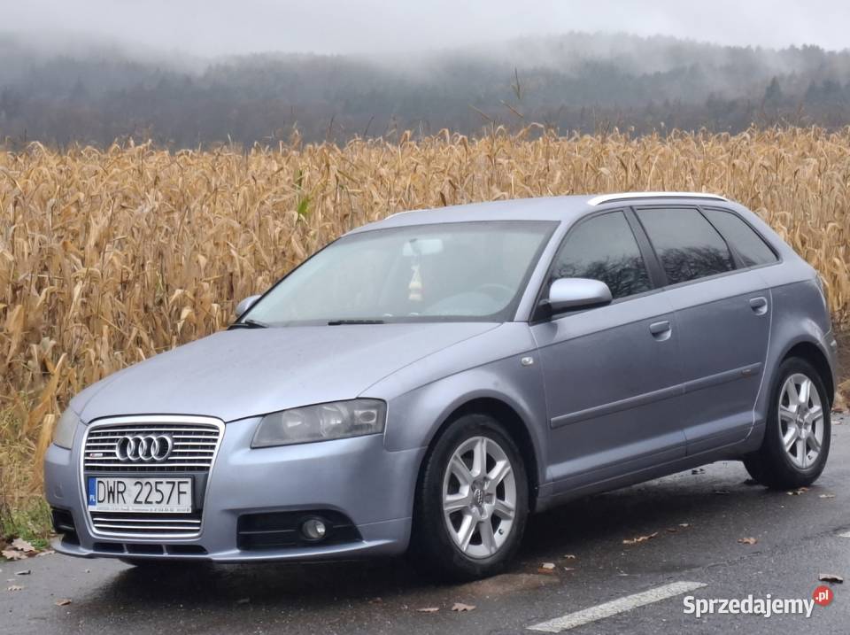 Audi a3 8p sportback 2004 20 lakier metallic Sobótka sprzedam