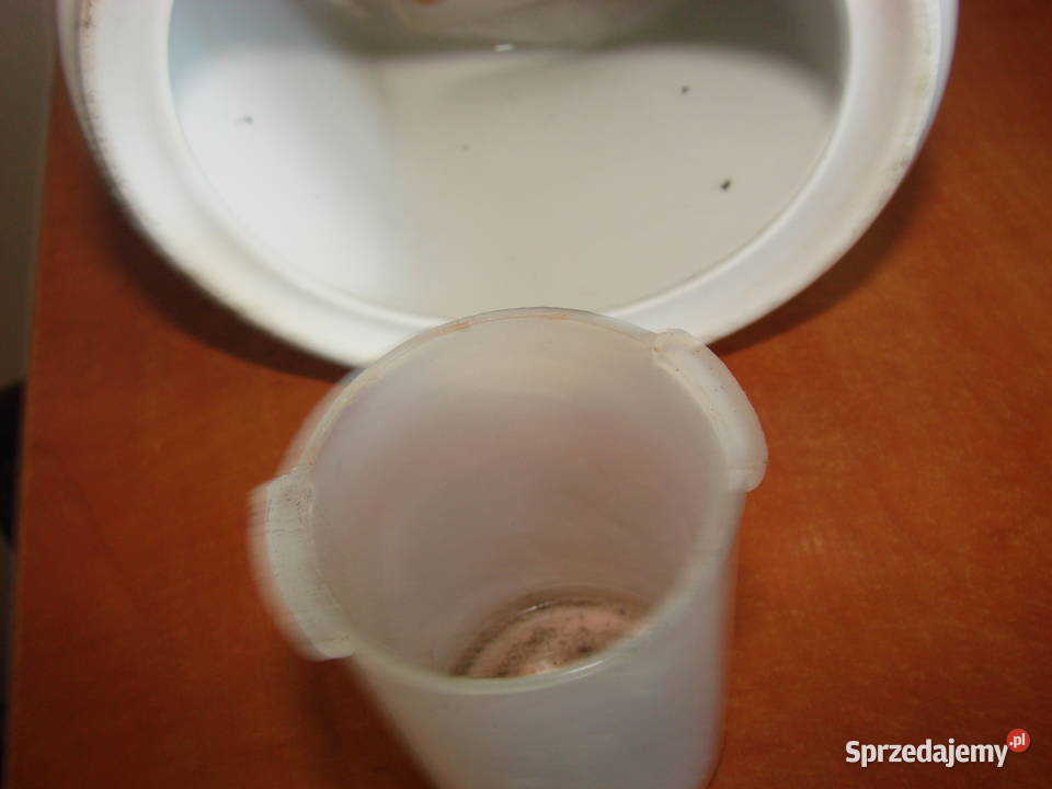 Ćmielów porcelanowy młynek Pruszcz Gdański