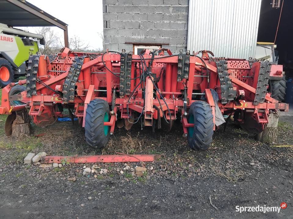 Sadzarka do ziemniaków 6 rzędowa Kverneland Środa Wielkopolska sprzedam