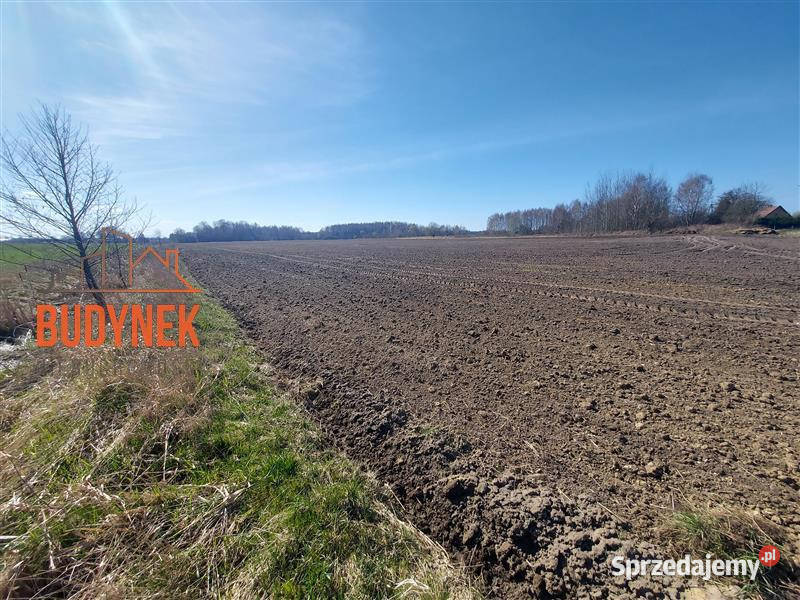 Działka budowlana Gleźnowo Sprzedaż Grunty i działki