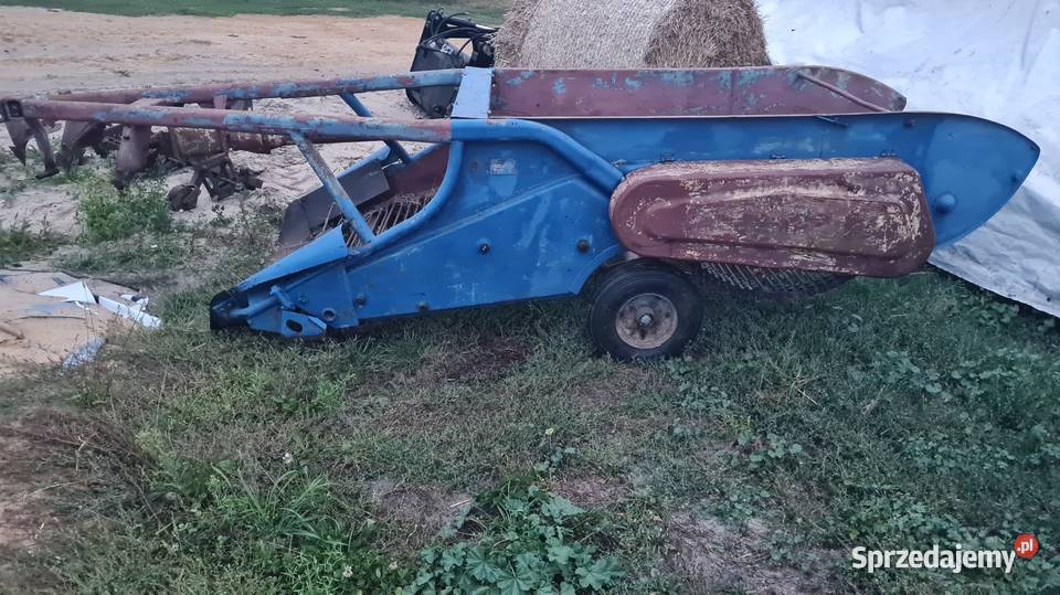 Kopaczka Tuczna sprzedam