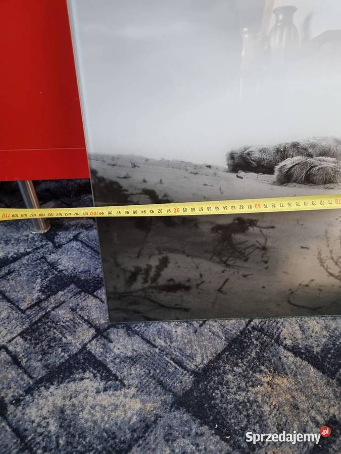 Szklany obraz lwicy 100x 70 Harklowa sprzedam