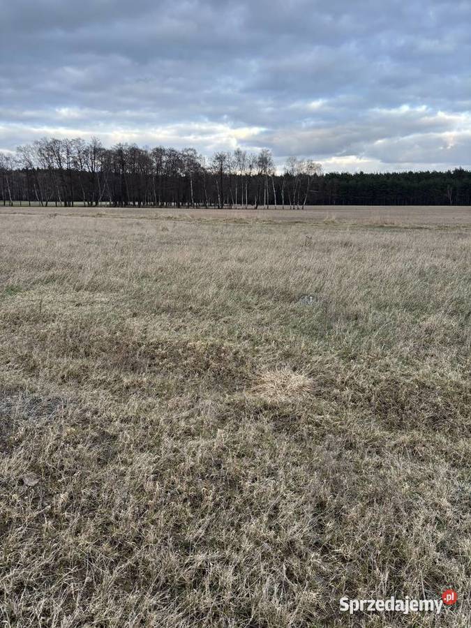 Sprzedam działkę budowlaną wielkopolskie Witkowo sprzedam