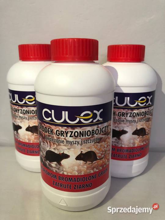 ZATRUTE ZIARNO NA GRYZONIE Krzyżowniki