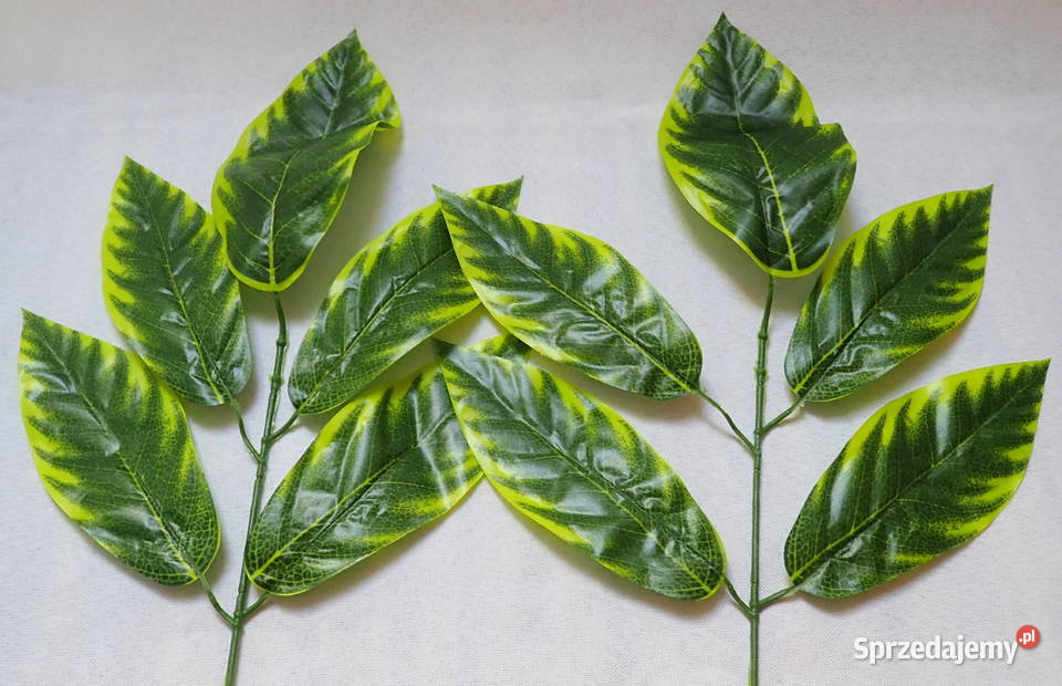 Liście ozdobne 5 na gałązce Zx1 Siewierz