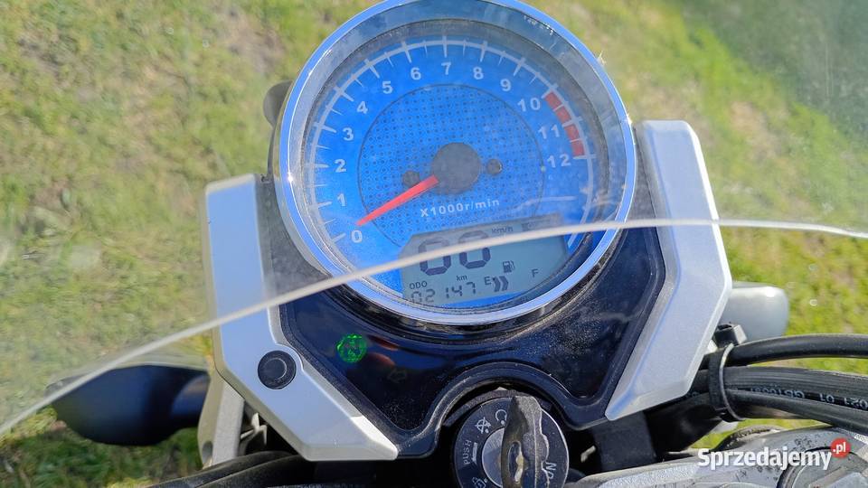 Barton Classic 125 Gadka