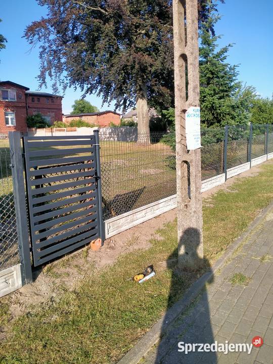 Montaż ogrodzeń panelowych Pozostałe usługi Sośno