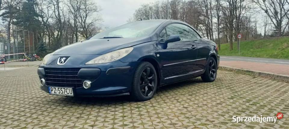 Peugeot 307 CC Mosina