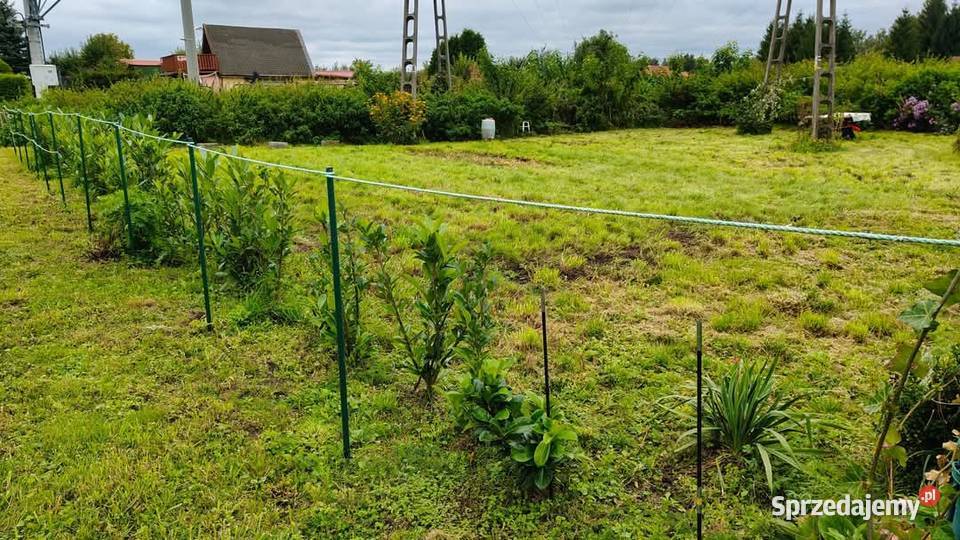 Działka ROD Mamy Węgorzewo obok portu KEJA