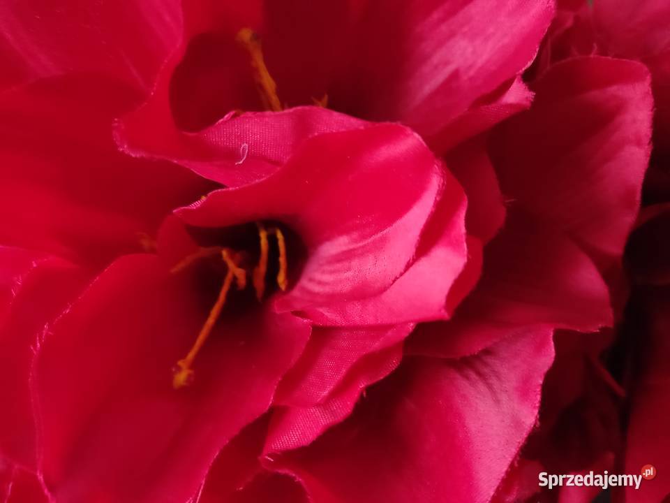 AMARYLIS CZERWONY DUZY KWIAT SZTUCZNY Ropczyce sprzedam