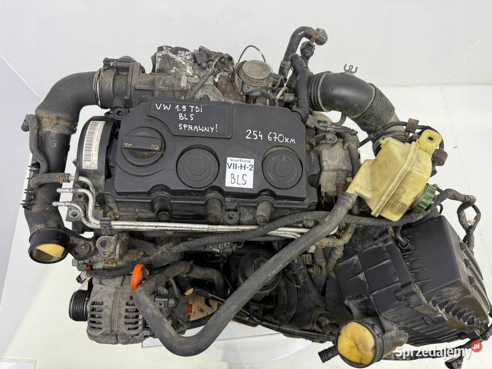 SILNIK BLS VW Golf V Touran Jetta III V 19 TDI lubelskie