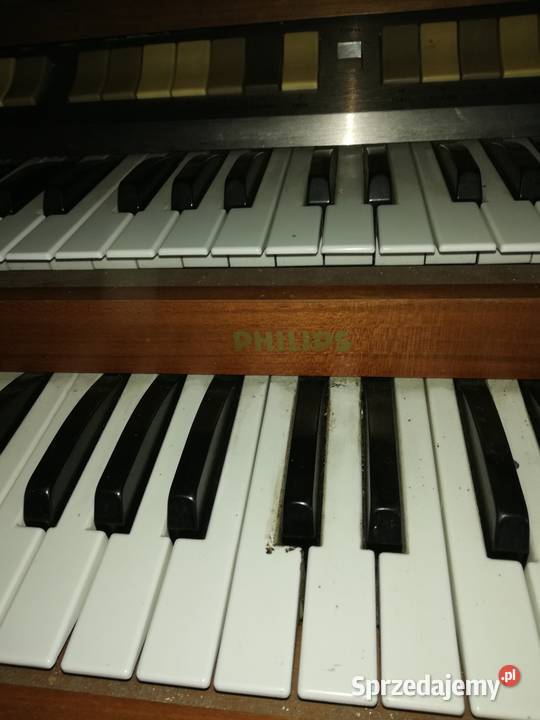 organy philips wurlitzer Radzyń Podlaski