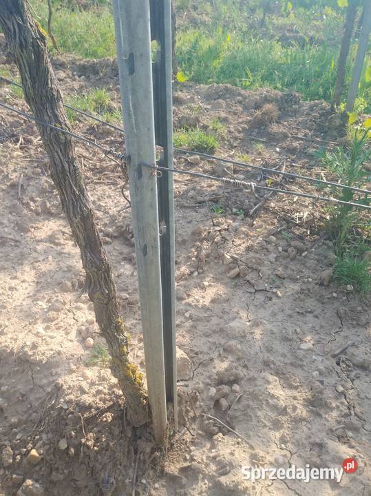 Słupki metalowe do malin ogrodu winnicy Łódź