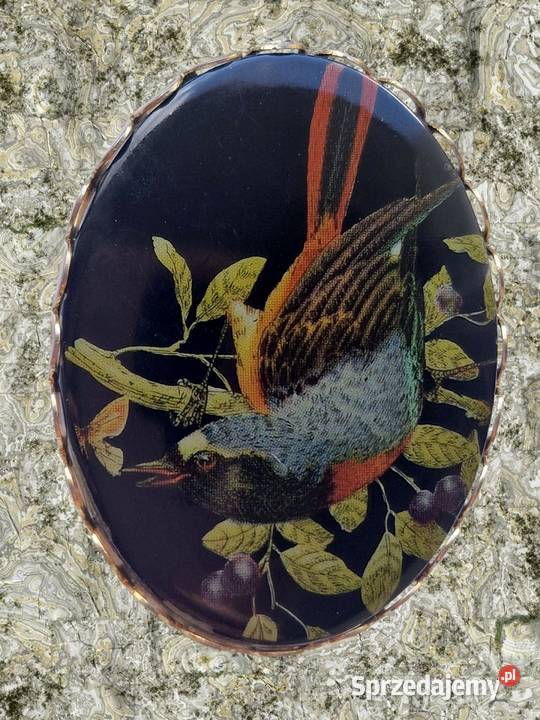 VINTAGE BROSZKA ZIMORODEK KINGFISHER CELULOID Biżuteria Częstochowa
