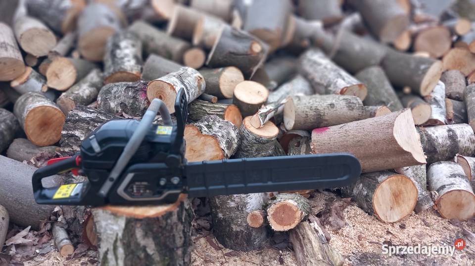 Spszedam piłę spalinowom pomorskie Nowa Karczma