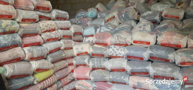 NIESORT Anglia Dania Norwegia Polska Szwecja Olsztyn