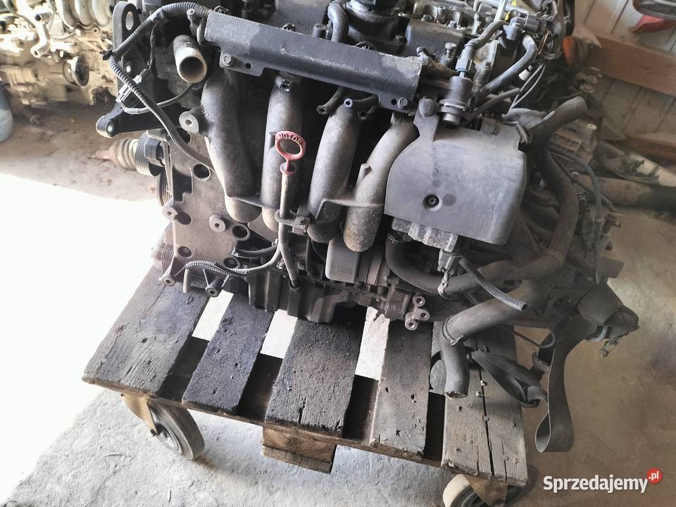 VOLVO S40 V40 18 SILNIK SKRZYNIA BIEGÓW 30616106 Kamień-Kolonia sprzedam