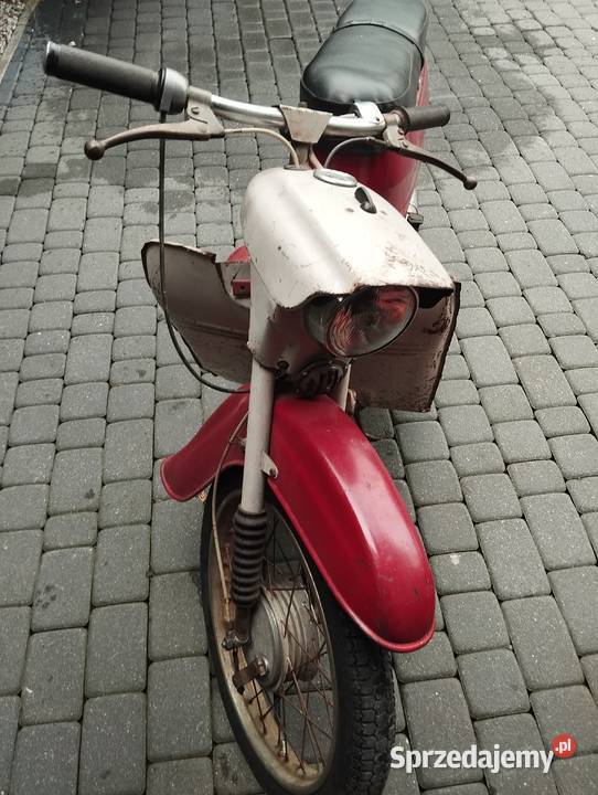 Jawka kaczka Myślenice