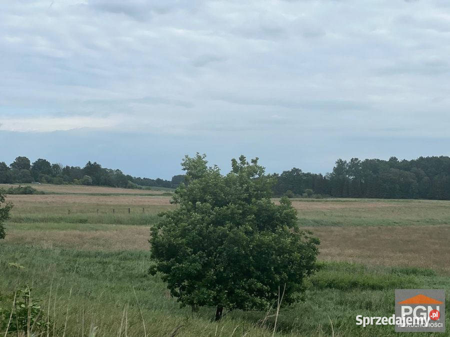 Działka Ościęcin 27400m2 3zł/m2 Sprzedaż zachodniopomorskie