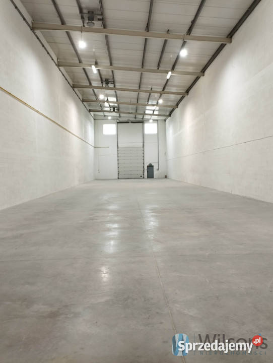 wynajmu lokalu Wola Mrokowska Szkolna 600m2 sprzedam