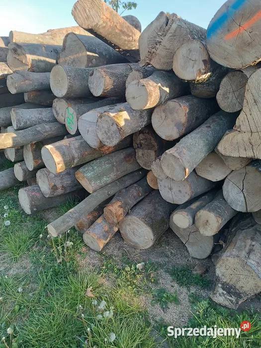 Tanie drewno opałowe Mszana dolna i