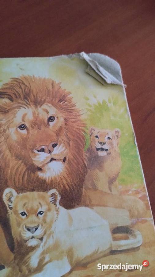 małpka i inne zwierzęta w zoo Poznań