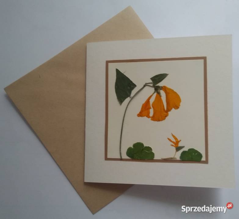 KARTKI OKOLICZNOŚCIOWE KWIATY SUSZONE Hand Made pomorskie Gdańsk