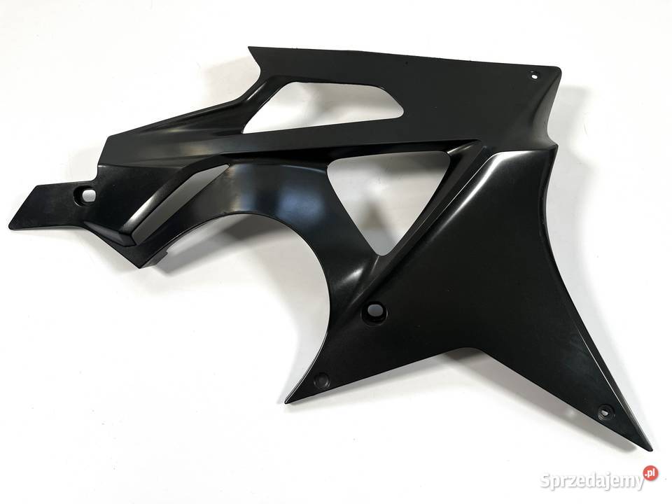 BMW S 1000 RR K46 Pług lewy Spoiler silnika Łobżenica