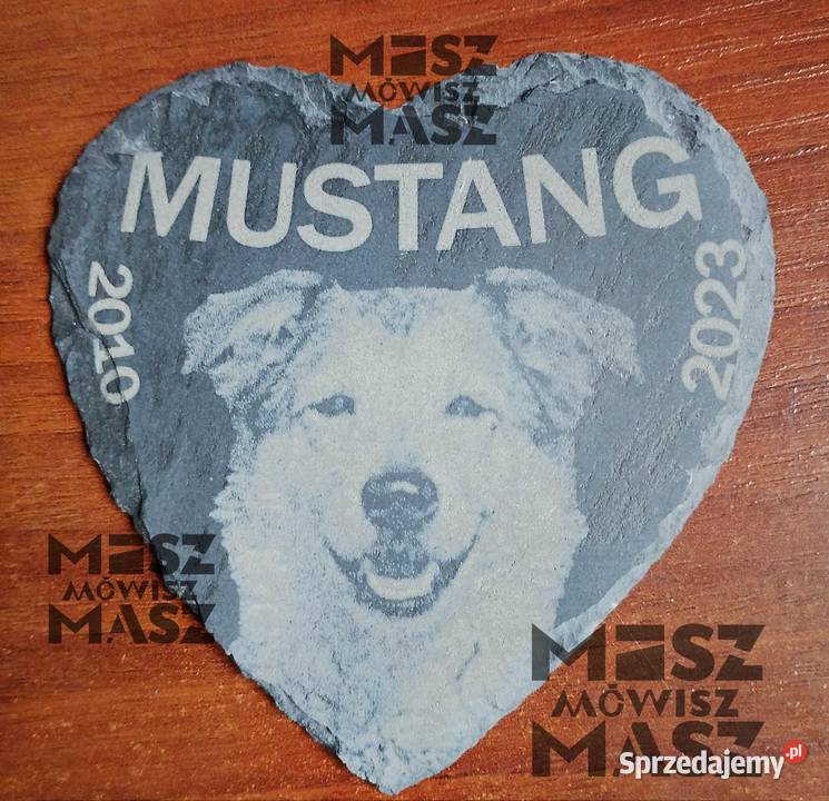 Tabliczka pamiątkowa zwierzaka z fotograwerem Racot