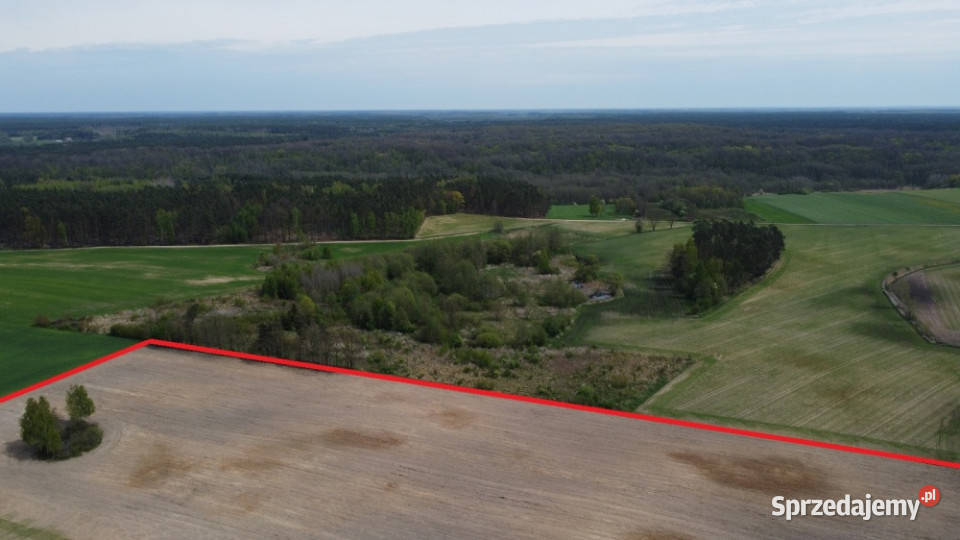 11 ha w jednym kawałku foremna działka 8 Lipna Suradowo