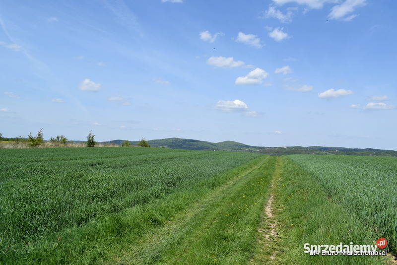 3 PIĘKNE WIDOKOWE DZIAŁKI ROLNE W KROŚNIE 5800m2 Krosno sprzedam
