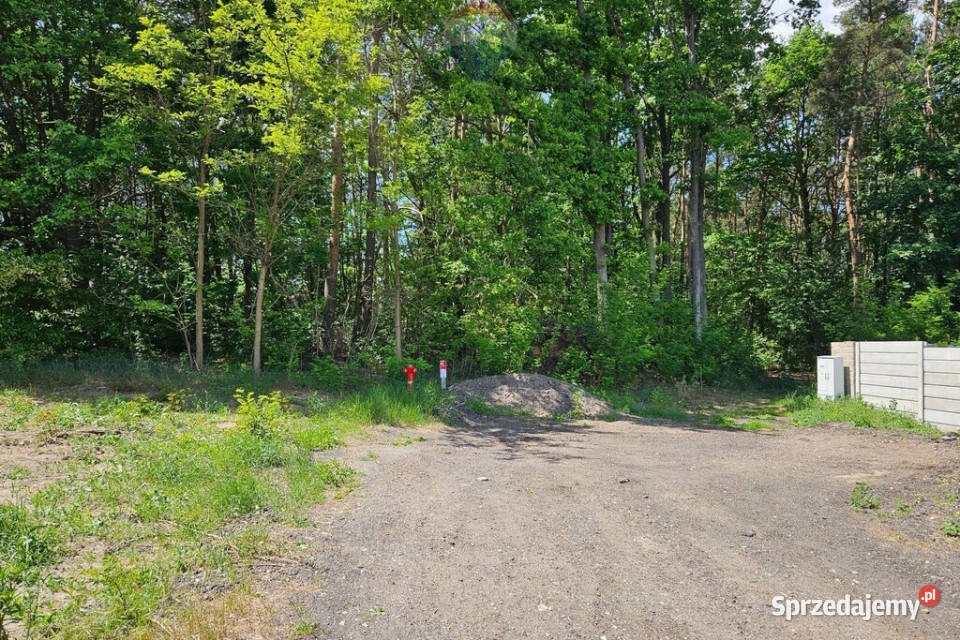 Działka budowlana 2630m2 z lasem Skierniewice
