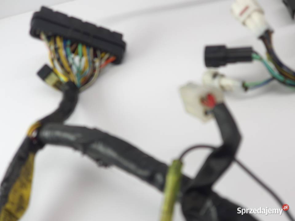 Wiazka Instalacja Yamaha Rx1 Warrior Mountain