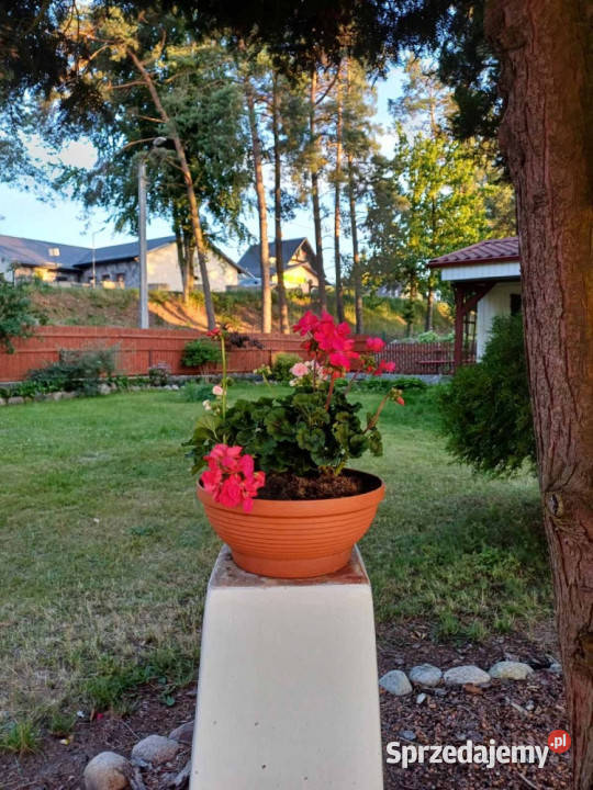 Dom w Gołubiu Kaszubskim z widokiem na jezioro sprzedam