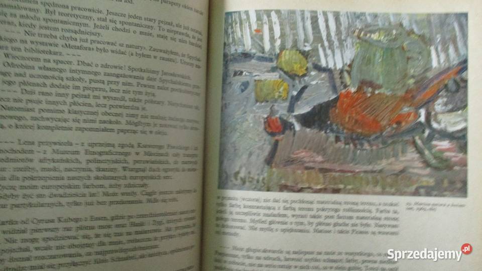 Jan CybisNotatki malarskiedzienniki Łódź