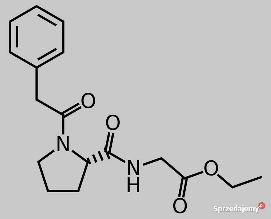 Noopept Czysty Związek GVS111 1000mg 1g Łódź