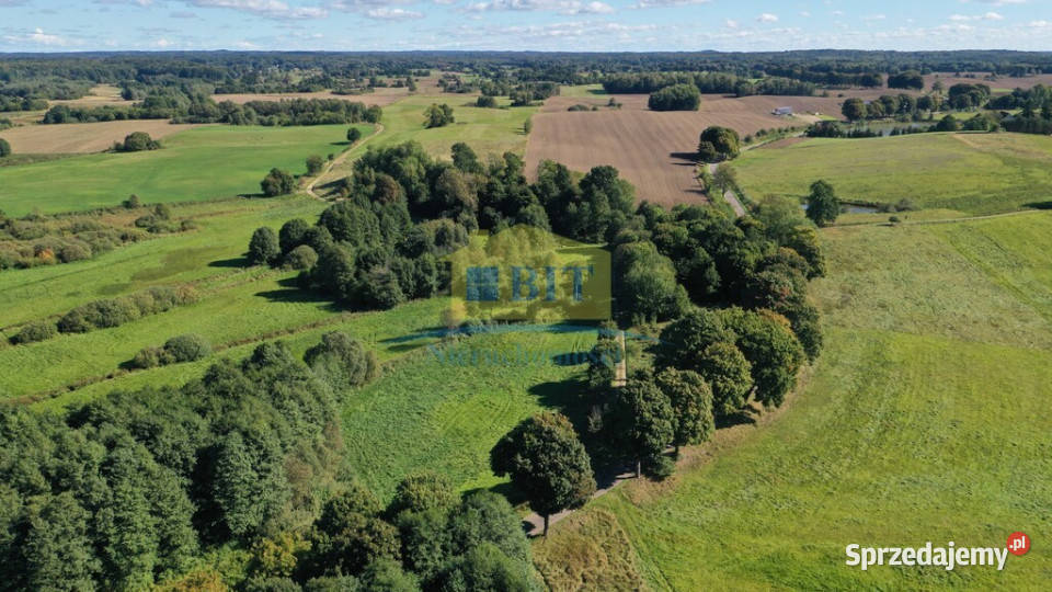 Działka 5500 m2 Łabędzie gmina Drawsko Pom zachodniopomorskie sprzedam